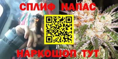 ГАЛЛЮЦИНОГЕННЫЕ ГРИБЫ Будённовск