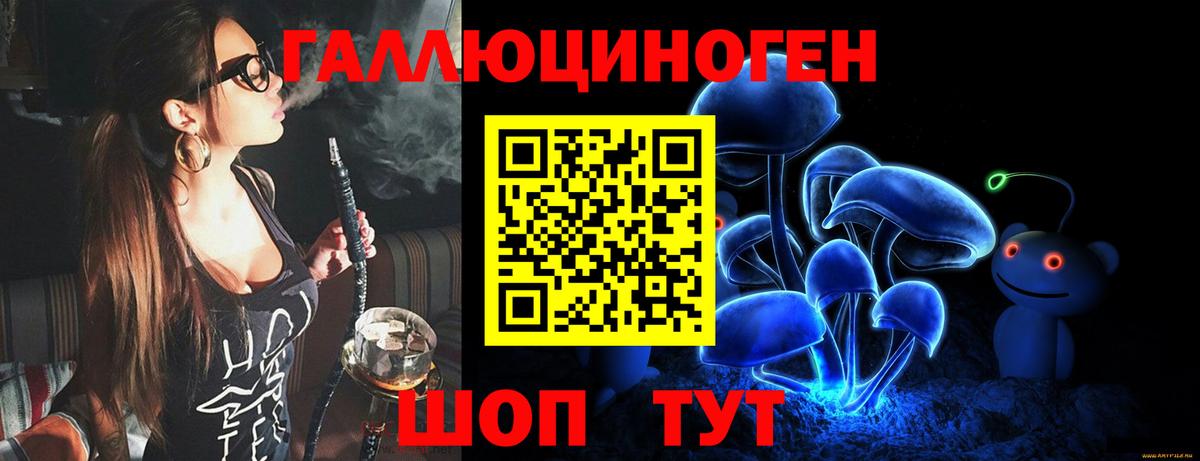 Чебоксары  Галлюциногенные грибы мухоморы  Вход с VPN  Галлюциногенные грибы мухоморы 