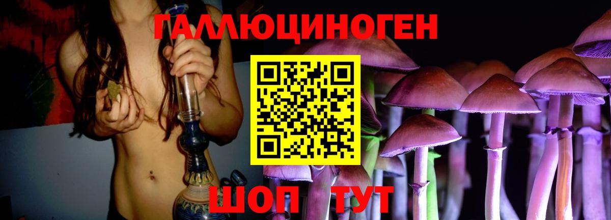 Псилоцибиновые грибы Cubensis Чебоксары